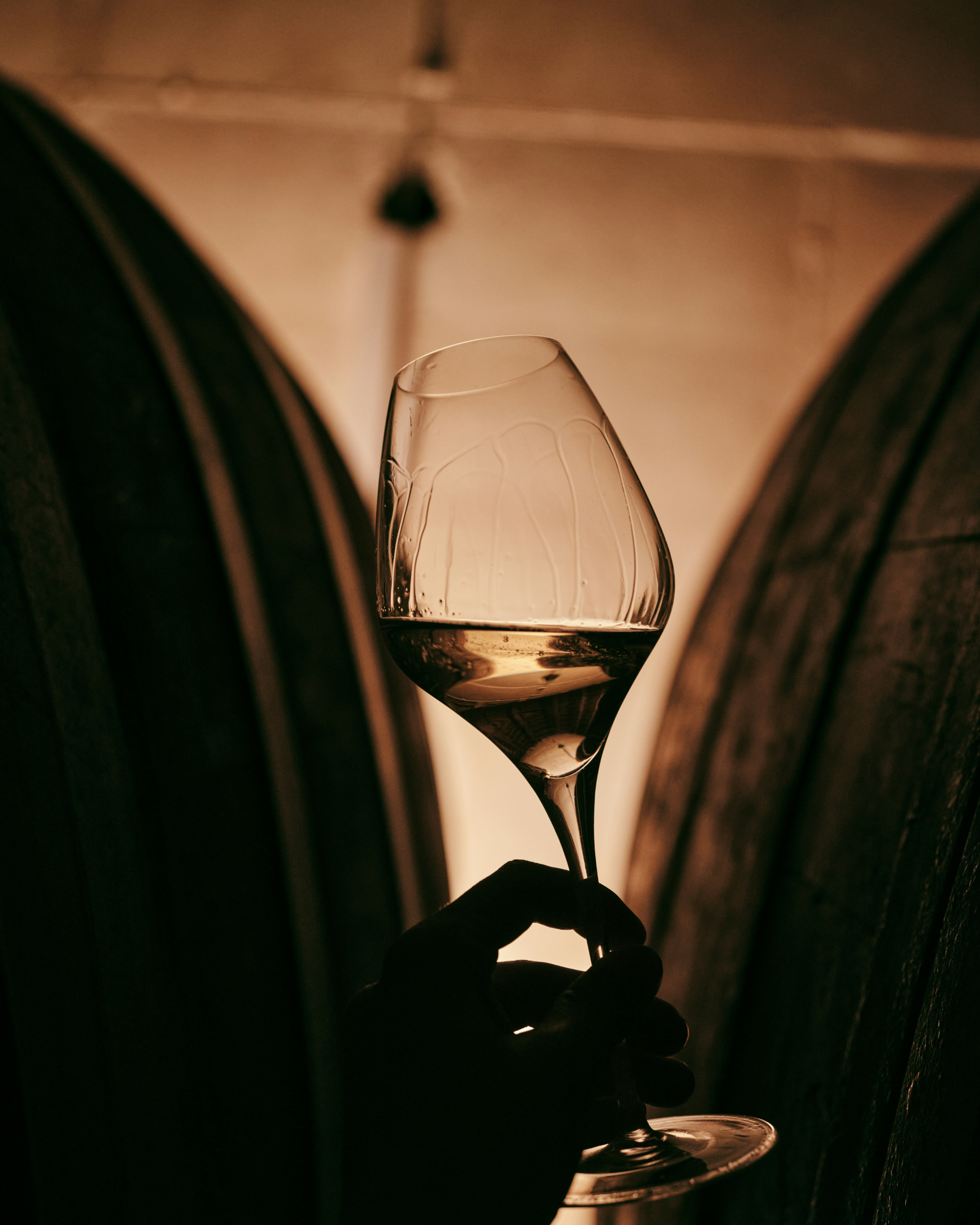 Cellar-Worthy