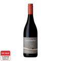 Black Oystercatcher Triton 2020